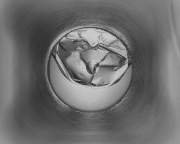 X0000112811520200909181540