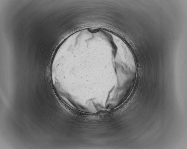 X0000112811521200909181540