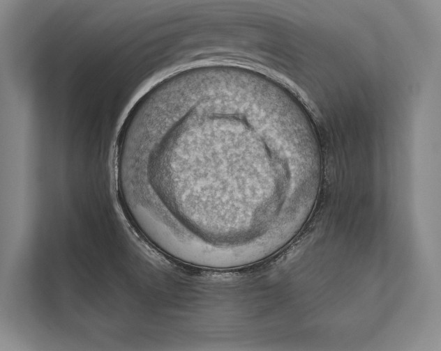 X0000112811522200909181540