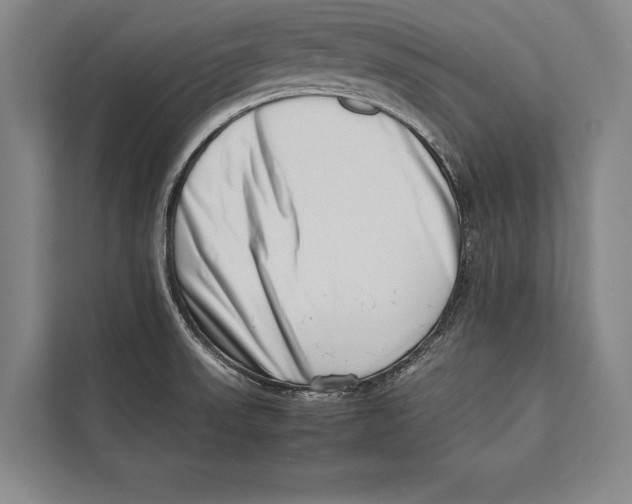 X0000112811523200909181540