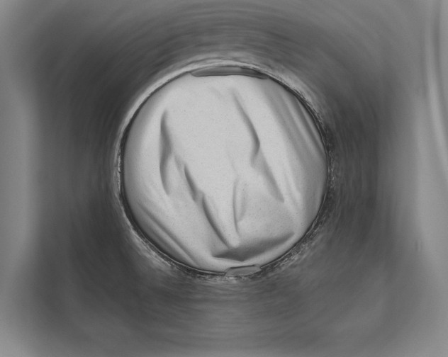 X0000112811524200909181540