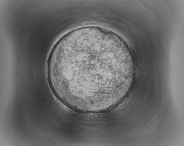 X0000112811527200909181540