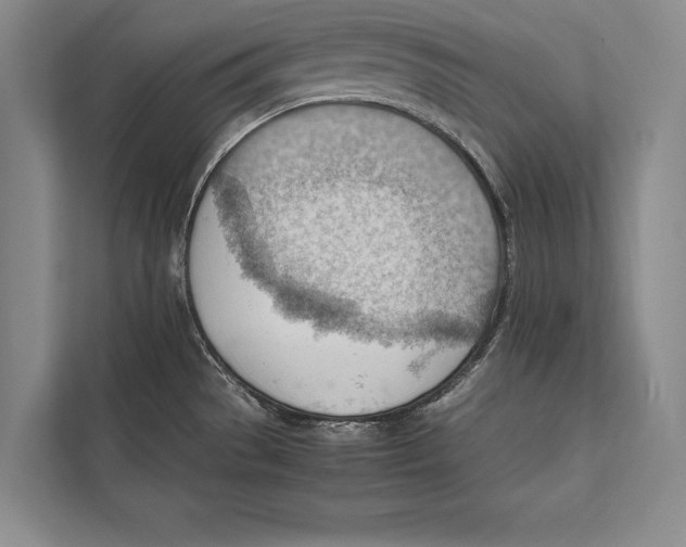 X0000112811529200909181540