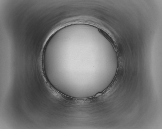 X0000112811530200909181540