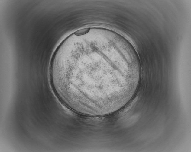 X0000112811533200909181540