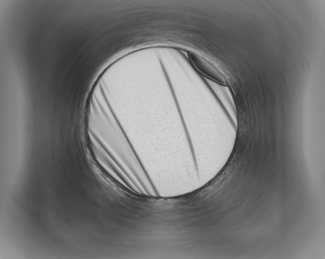 X0000112811534200909181540