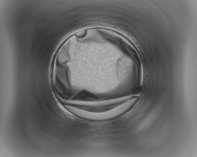 X0000112811535200909181540