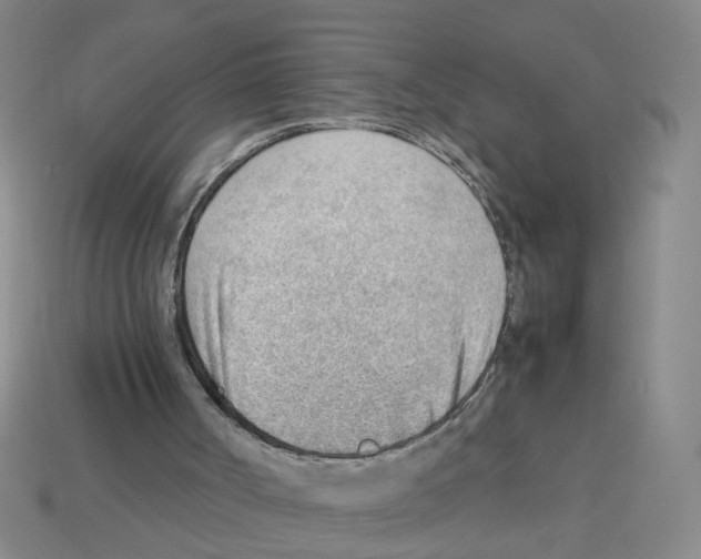 X0000112810002200910021150