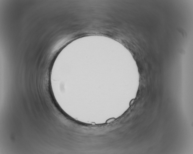 X0000112810005200910021150