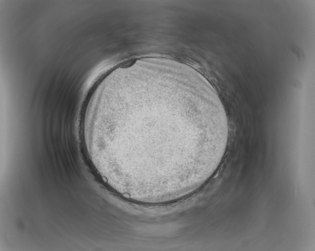 X0000112810006200910021150
