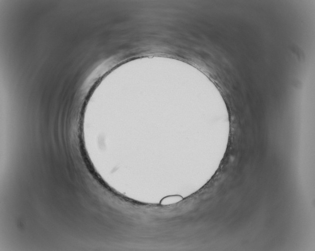 X0000112810007200910021150