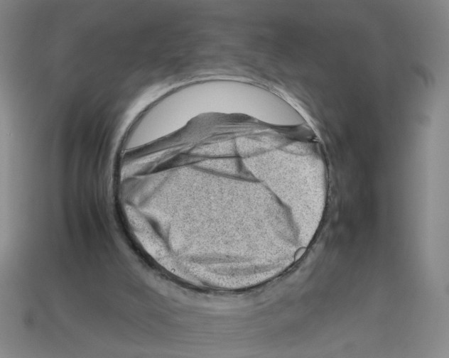 X0000112810008200910021150