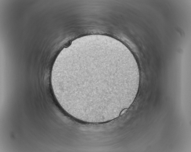 X0000112810009200910021150