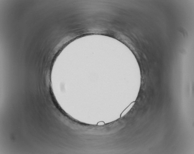 X0000112810011200910021150