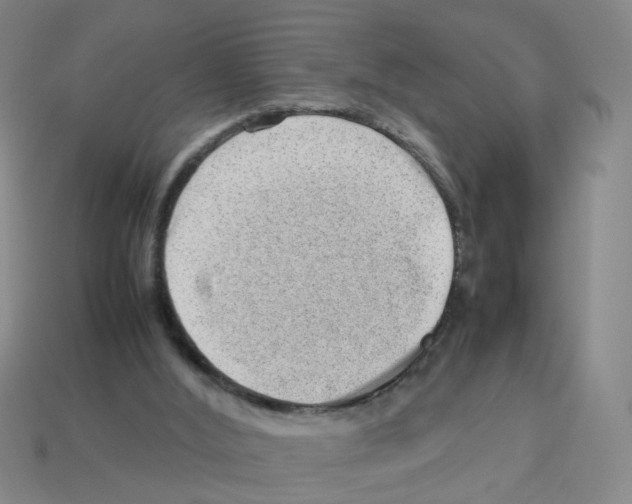 X0000112810012200910021150