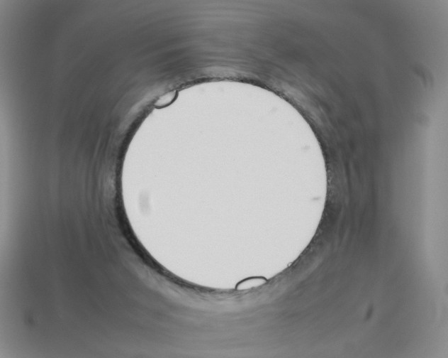 X0000112810015200910021150