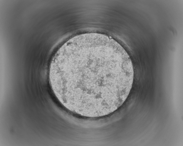 X0000112810016200910021150