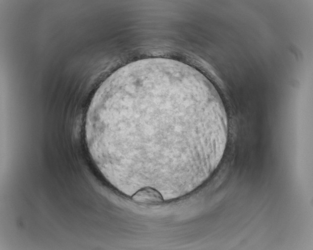 X0000112810018200910021150