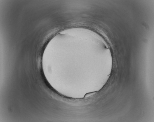 X0000112810019200910021150