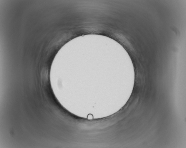 X0000112810021200910021150