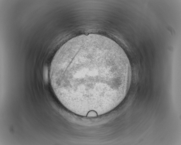 X0000112810022200910021150