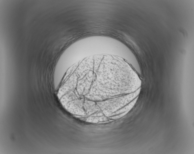X0000112810025200910021150