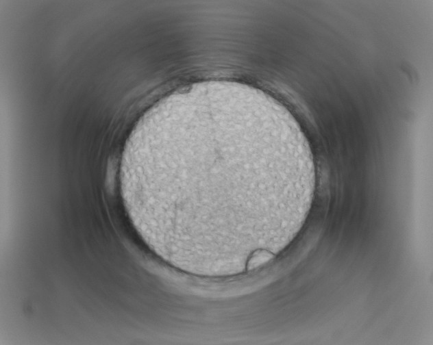 X0000112810026200910021150