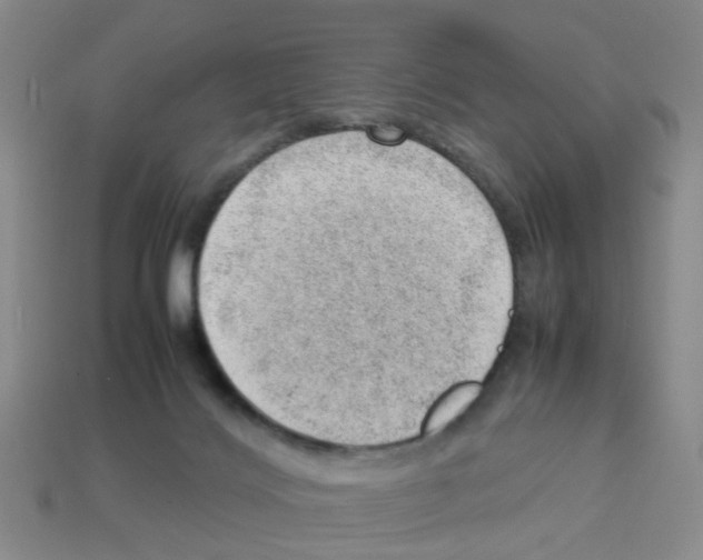 X0000112810028200910021150