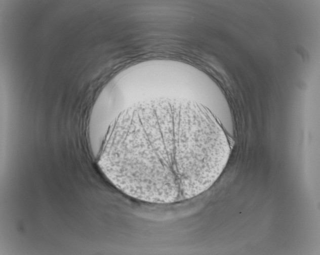 X0000112810029200910021150