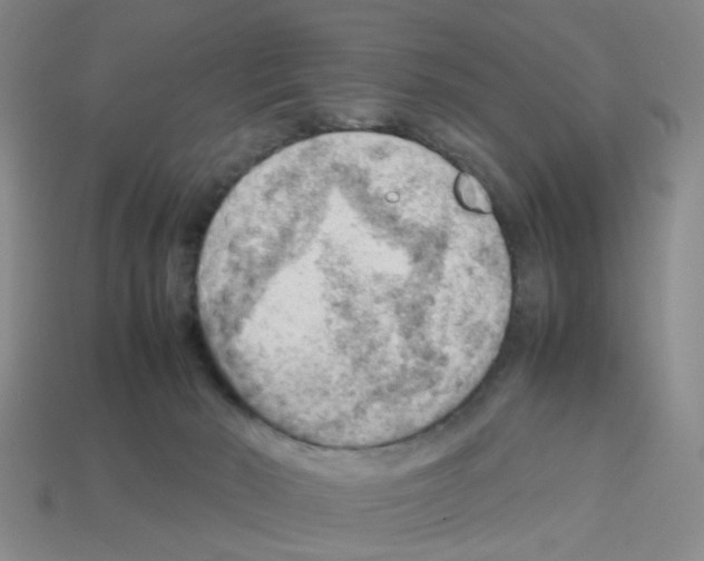 X0000112810030200910021150