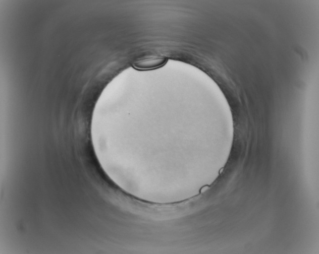 X0000112810031200910021150