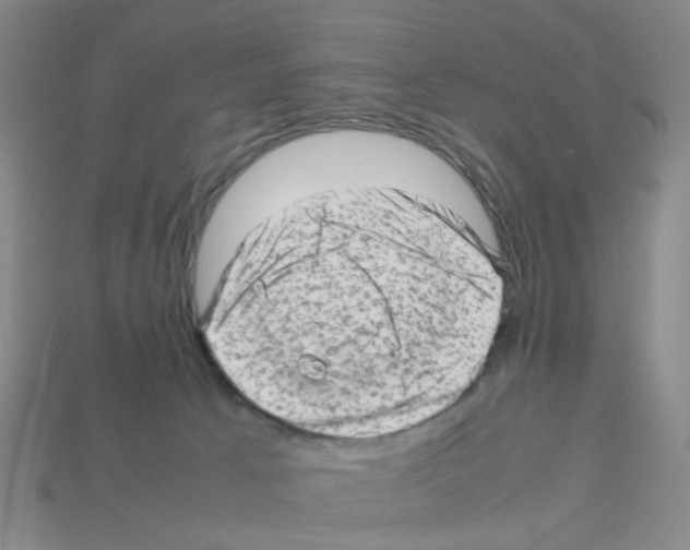 X0000112810033200910021150