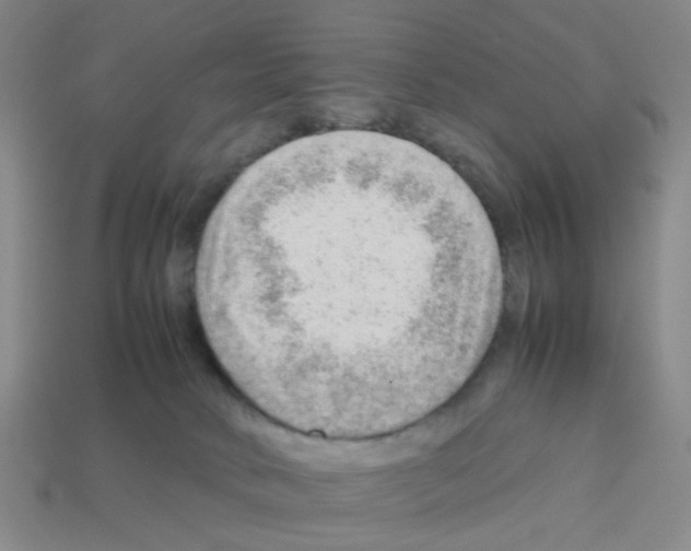X0000112810034200910021150