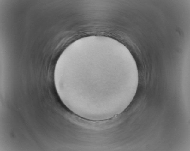 X0000112810035200910021150