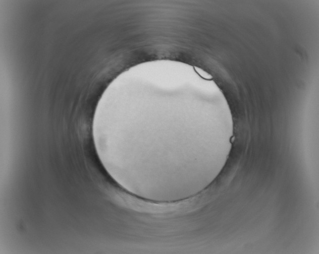 X0000112810039200910021150