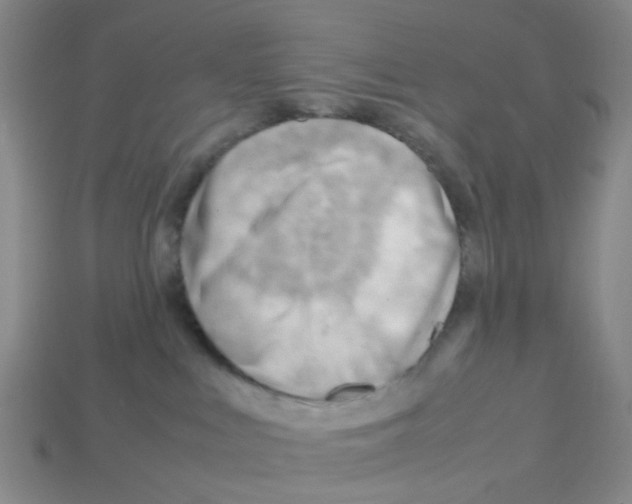 X0000112810043200910021150