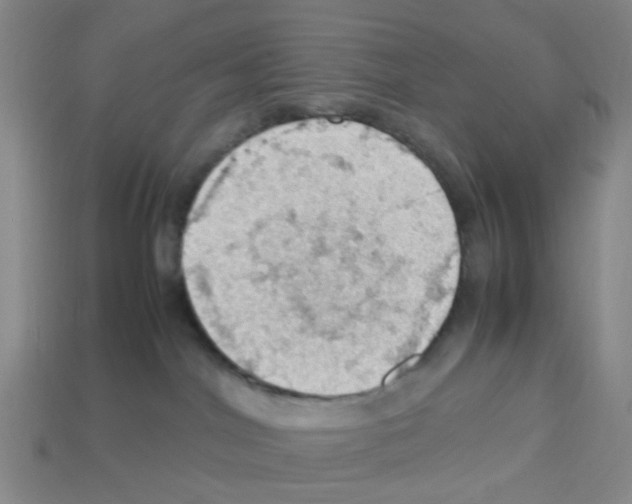 X0000112810044200910021150