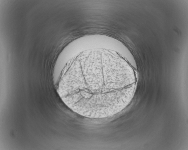 X0000112810045200910021150