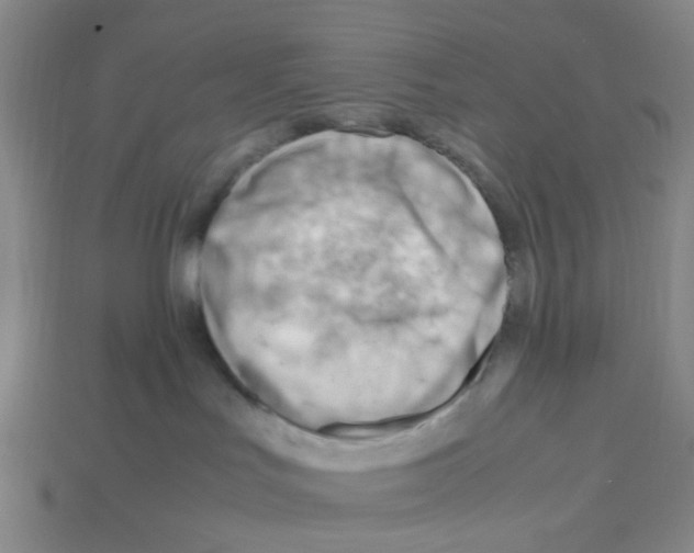 X0000112810047200910021150