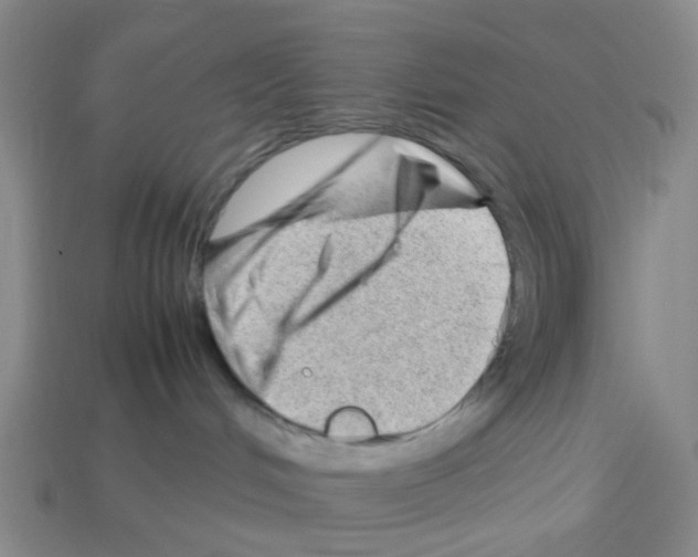 X0000112810048200910021150
