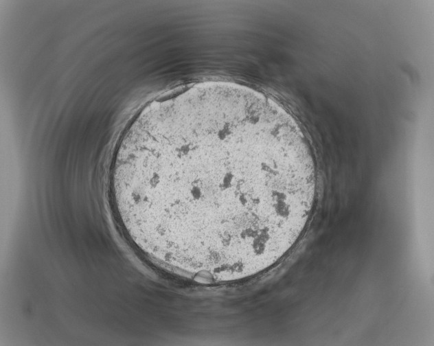 X0000112810049200910021149
