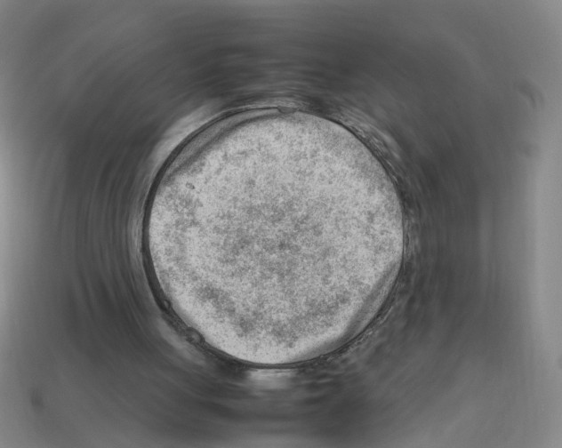 X0000112810051200910021149