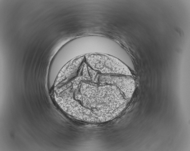 X0000112810052200910021149