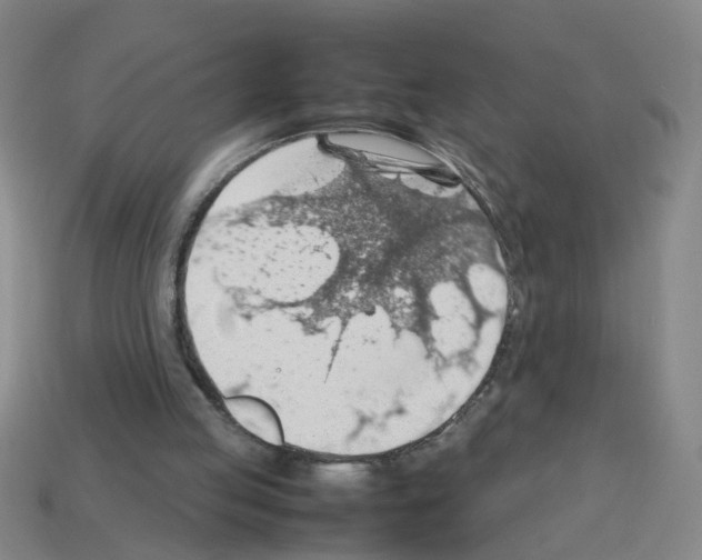 X0000112810053200910021149
