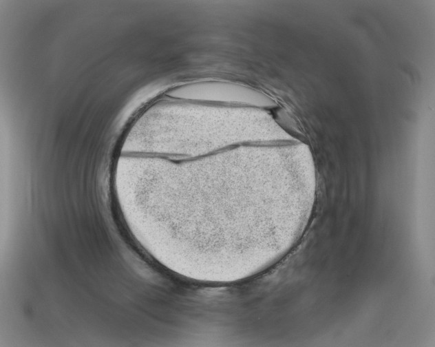 X0000112810054200910021149
