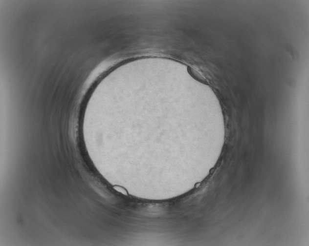 X0000112810056200910021149