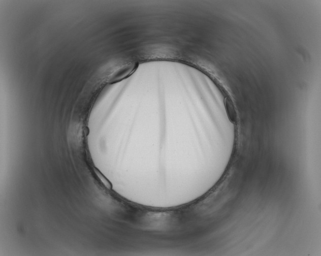 X0000112810057200910021149