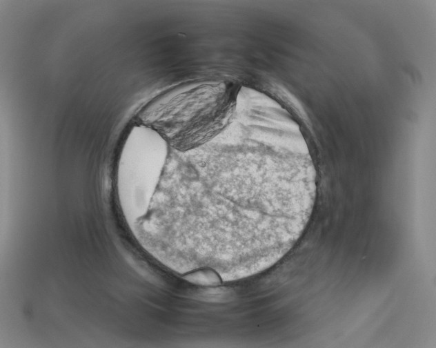 X0000112810059200910021149