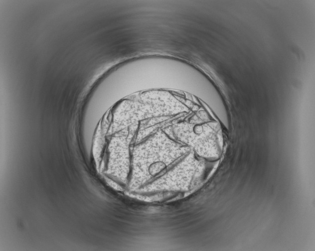 X0000112810060200910021149