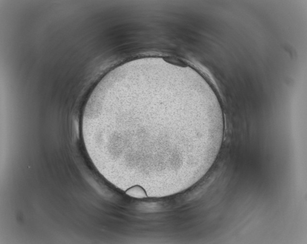 X0000112810061200910021149